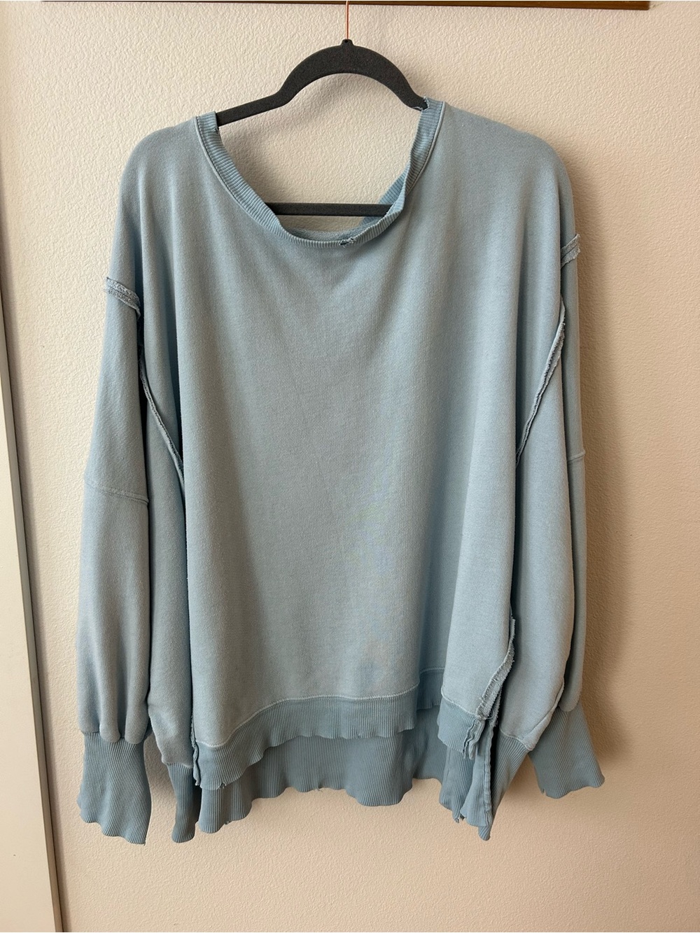 We the free Camden sweatshirt in light blue